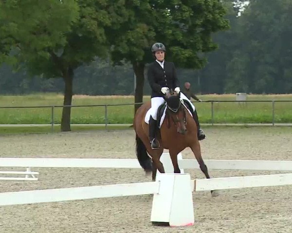 Reitturnier Rot am See- Musdorf 2021