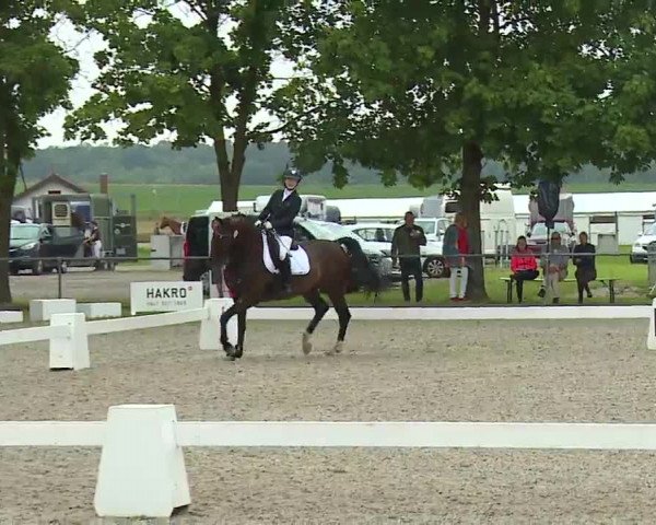 Reitturnier Rot am See- Musdorf 2021