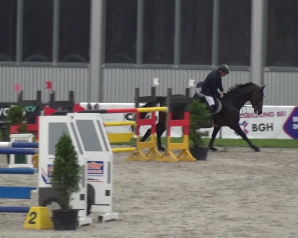 Giebelwald Classics mit Westfälische Meisterschaften Dressur und Springen 2021