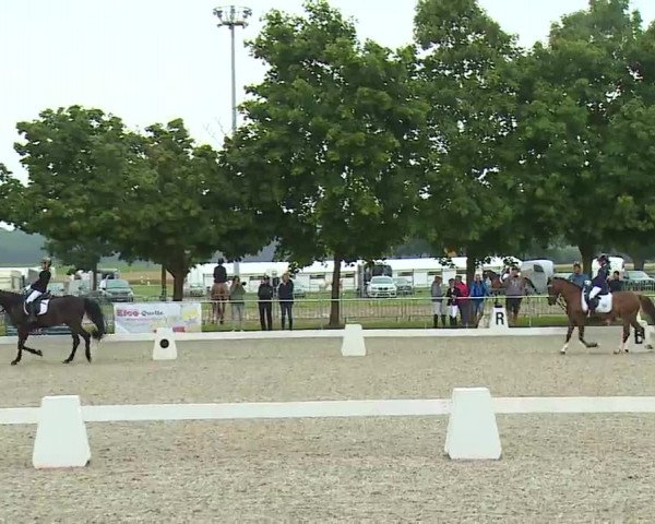 Reitturnier Rot am See- Musdorf 2021