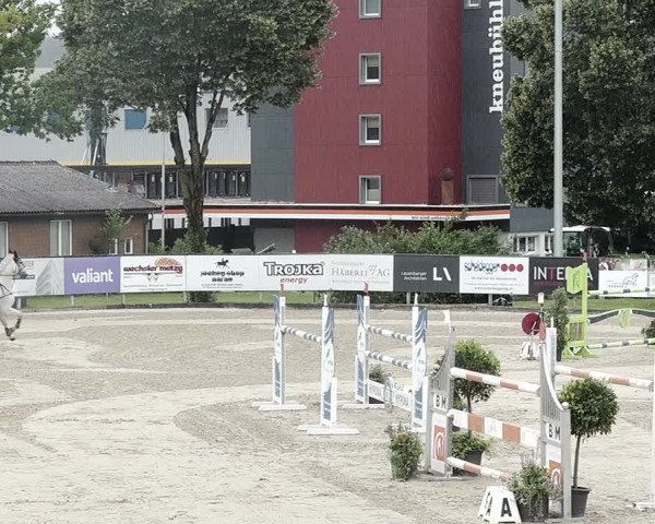 Reitturnier Dagmersellen 2021