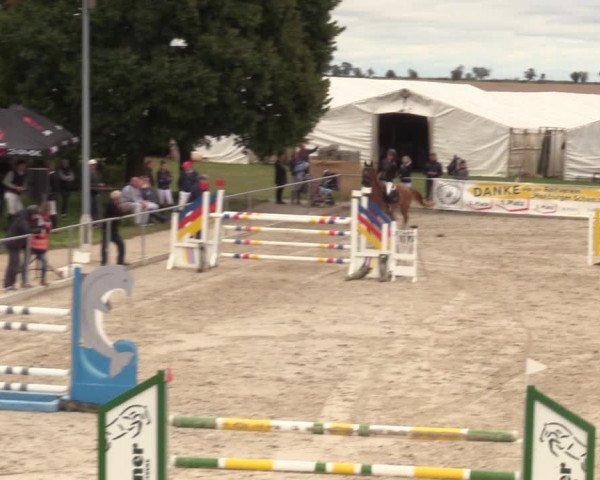 Springreitturnier Hohburg 2021