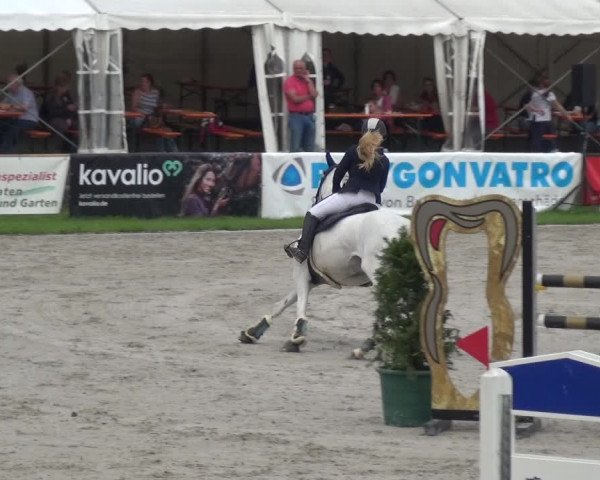 Giebelwald Classics mit Westfälische Meisterschaften Dressur und Springen 2021