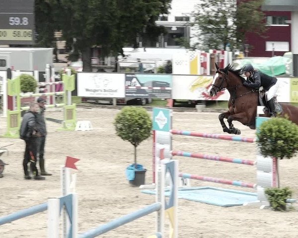 Reitturnier Dagmersellen 2021