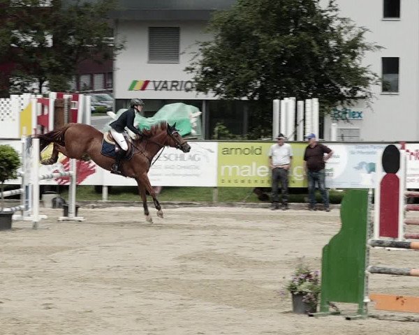 Reitturnier Dagmersellen 2021
