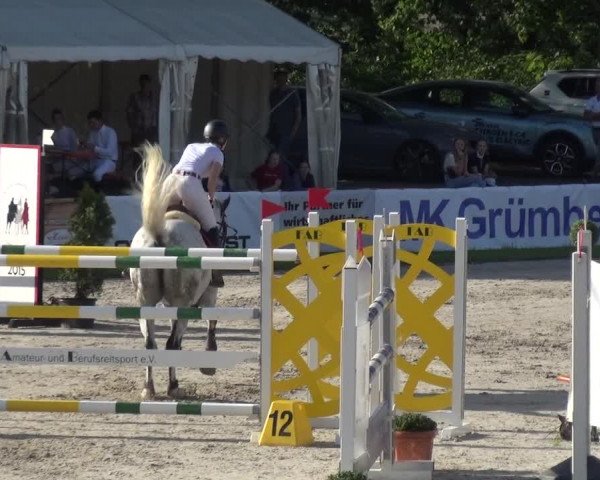 Giebelwald Classics mit Westfälische Meisterschaften Dressur und Springen 2021