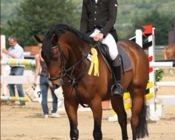 jumper Flying Bob (Hanoverian, 2005, from For Edition)