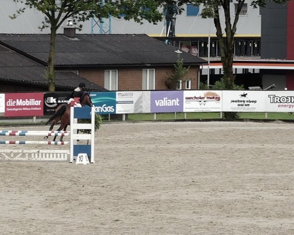 Reitturnier Dagmersellen 2021
