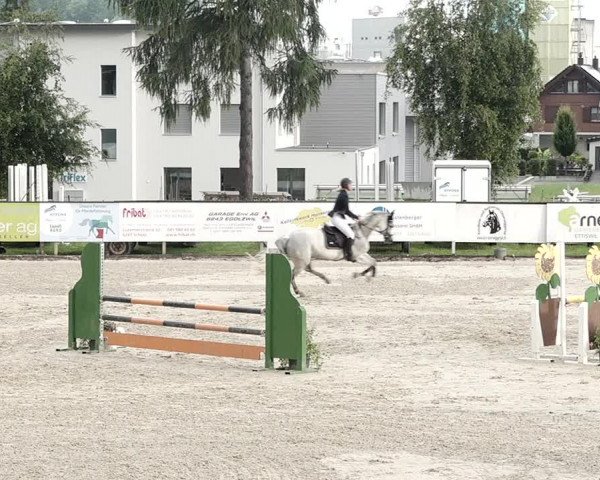 Reitturnier Dagmersellen 2021
