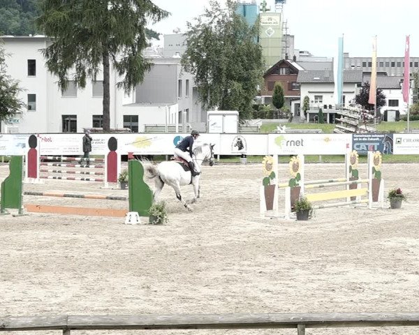 Reitturnier Dagmersellen 2021
