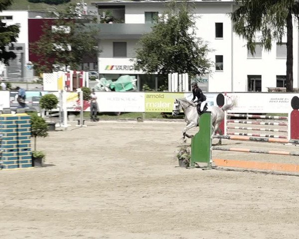 Reitturnier Dagmersellen 2021