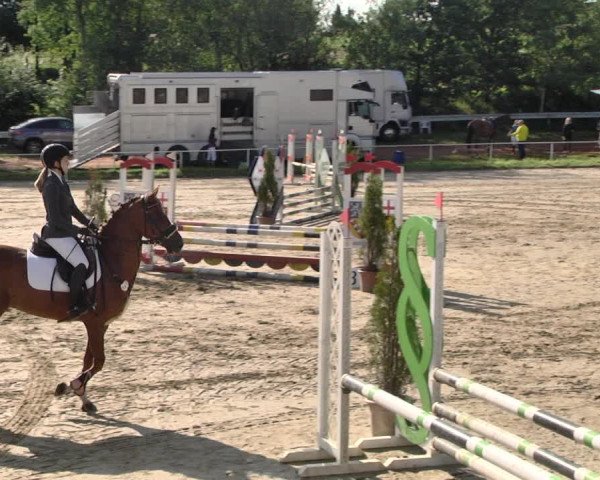 Reitturnier Heiligenwald 2021