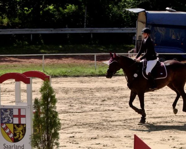 Reitturnier Heiligenwald 2021