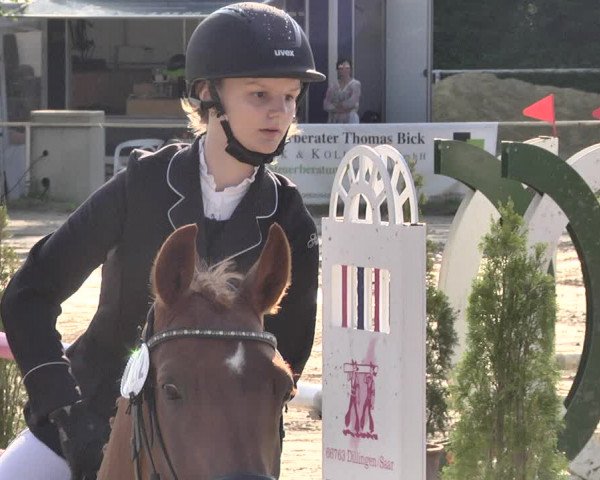 Reitturnier Heiligenwald 2021