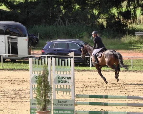 Reitturnier Heiligenwald 2021