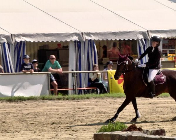 Reitturnier Heiligenwald 2021