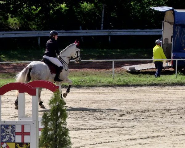 Reitturnier Heiligenwald 2021