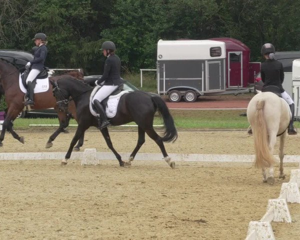 Reitturnier Heiligenwald 2021