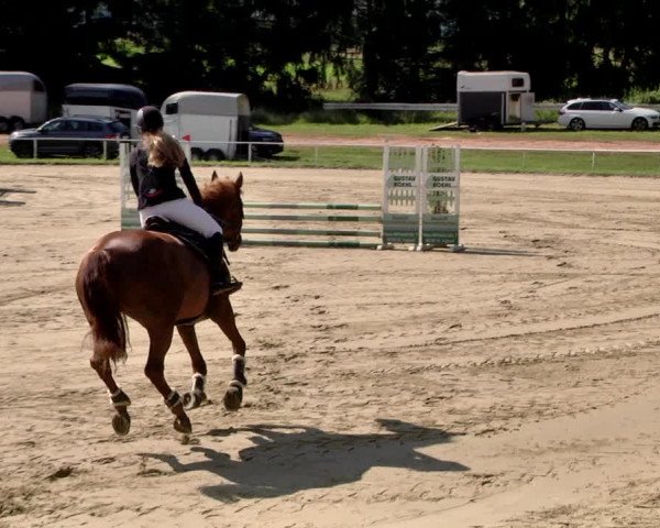 Reitturnier Heiligenwald 2021
