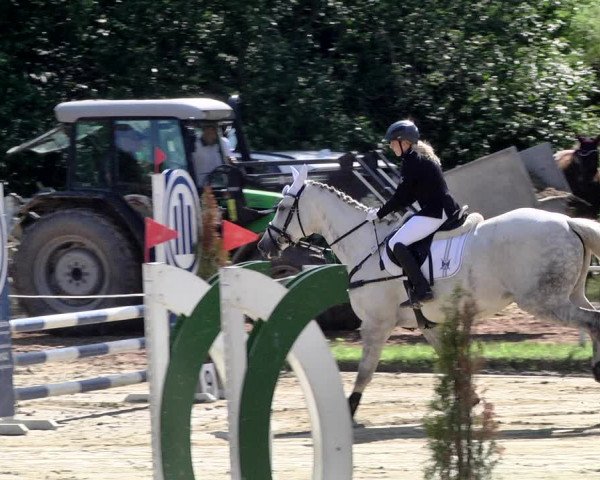 Reitturnier Heiligenwald 2021
