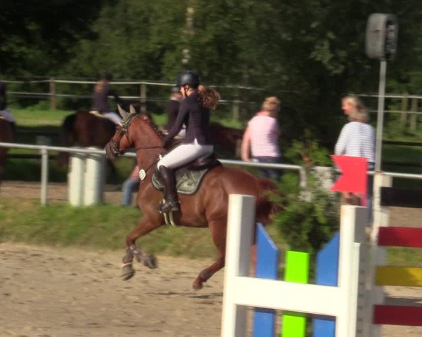 Reitturnier Herbern 2021