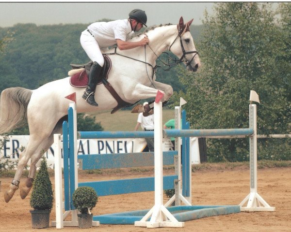 broodmare Kira Esprit (Saxony-Anhaltiner, 1995, from Kolibri 2705)