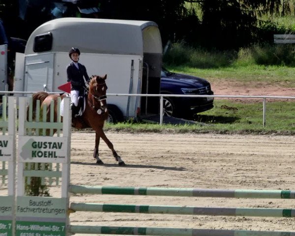 Reitturnier Heiligenwald 2021