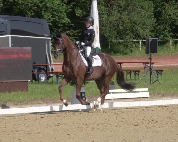 Reitturnier Heiligenwald 2021