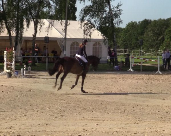 Reitturnier Herbern 2021