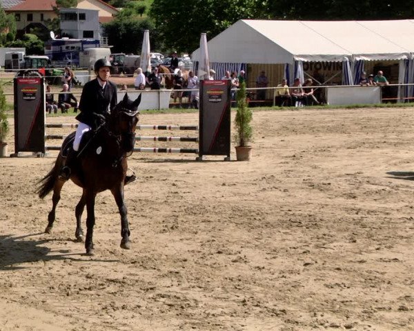 Reitturnier Heiligenwald 2021