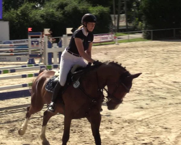Reitturnier Herbern 2021