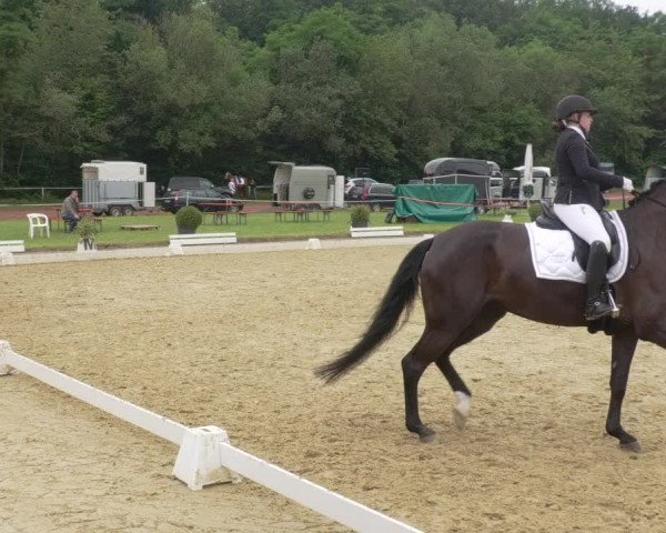 Reitturnier Heiligenwald 2021