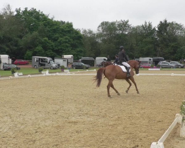 Reitturnier Heiligenwald 2021