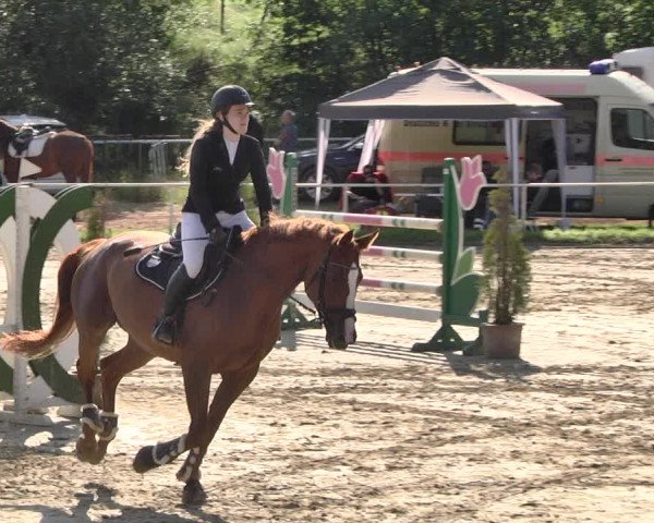 Reitturnier Heiligenwald 2021