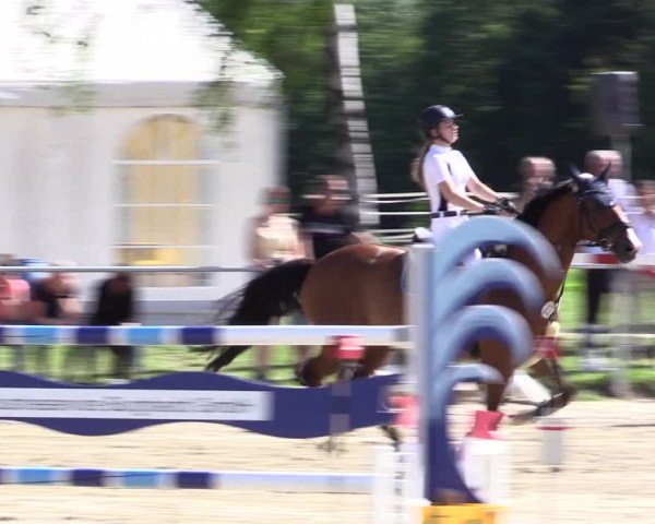 Reitturnier Herbern 2021