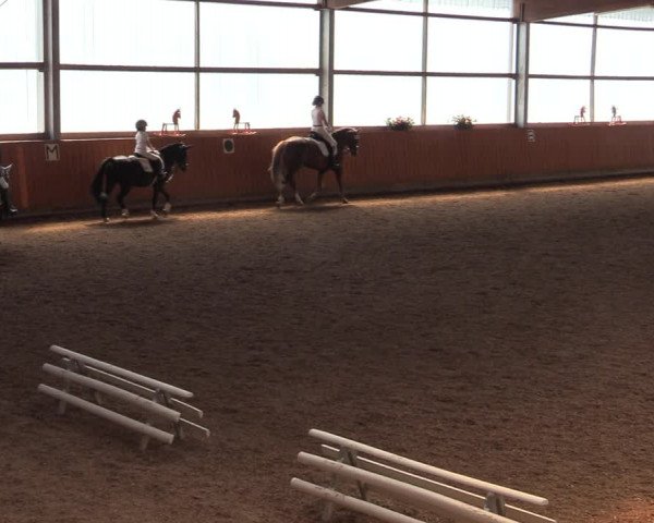 Reitturnier Herbern 2021