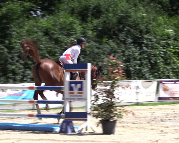 Reitturnier Herbern 2021