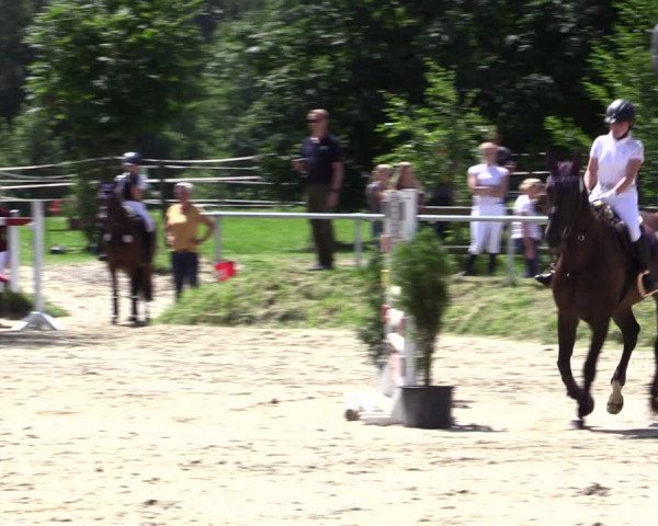 Reitturnier Herbern 2021