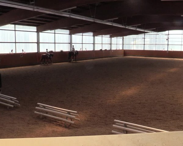 Reitturnier Herbern 2021