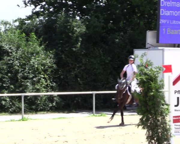 Reitturnier Herbern 2021