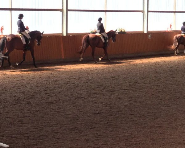 Reitturnier Herbern 2021