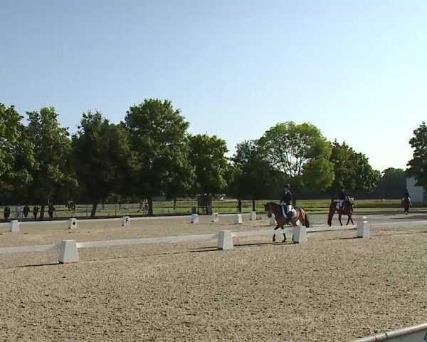 Reitturnier Rot am See- Musdorf 2021
