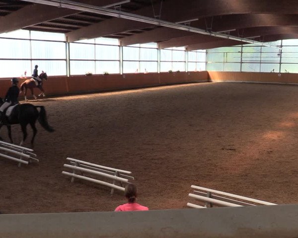 Reitturnier Herbern 2021