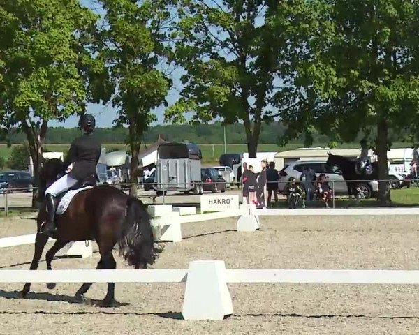 Reitturnier Rot am See- Musdorf 2021