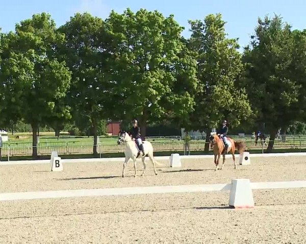 Reitturnier Rot am See- Musdorf 2021