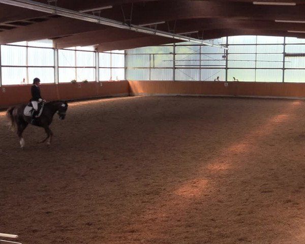 Reitturnier Herbern 2021