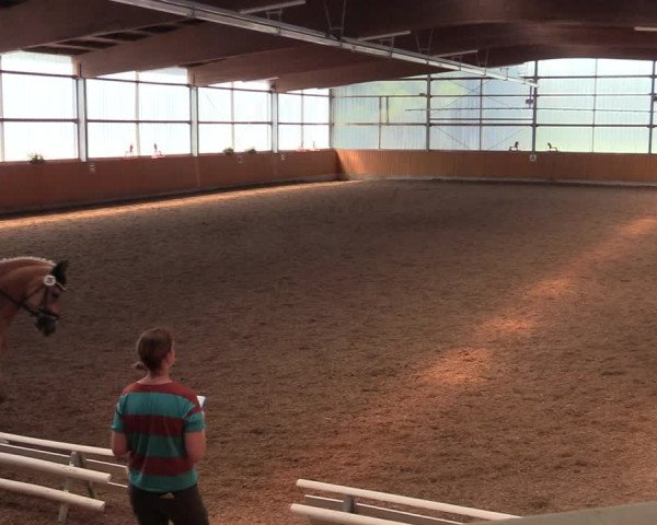 Reitturnier Herbern 2021