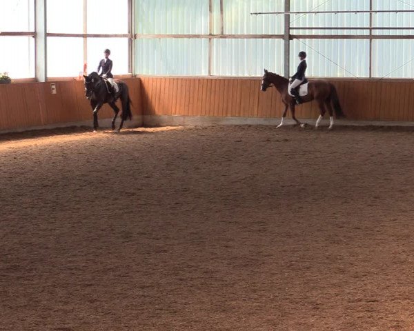 Reitturnier Herbern 2021