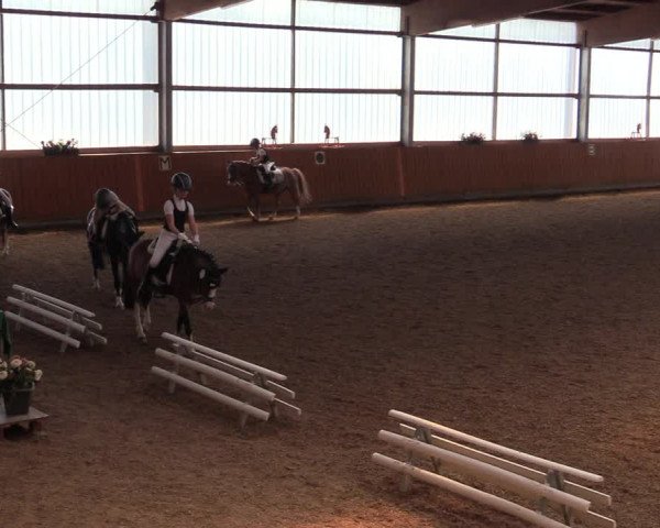 Reitturnier Herbern 2021