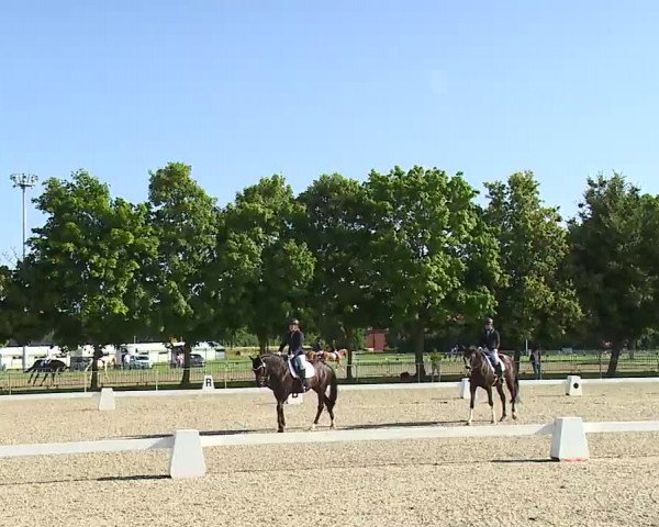 Reitturnier Rot am See- Musdorf 2021